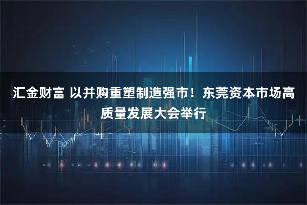 汇金财富 以并购重塑制造强市！东莞资本市场高质量发展大会举行