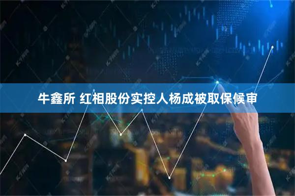 牛鑫所 红相股份实控人杨成被取保候审